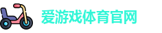爱游戏体育官网
